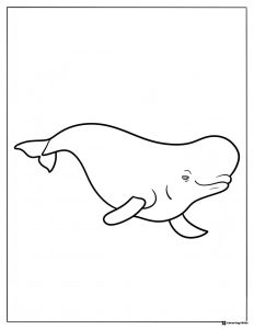 Bailey the beluga whale coloring page