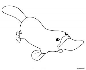 Octonauts swimming platypus coloring sheet