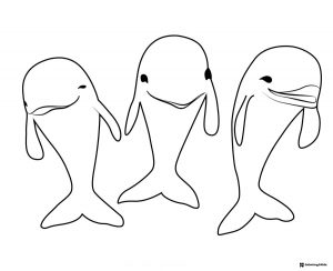 Octonauts three smiling dolphins coloring page