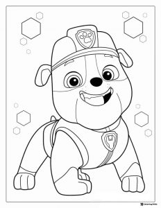 Rubble Close up Coloring Sheet with Hexagons